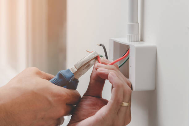 Best Electrical Panel Upgrades  in Fairview, TN